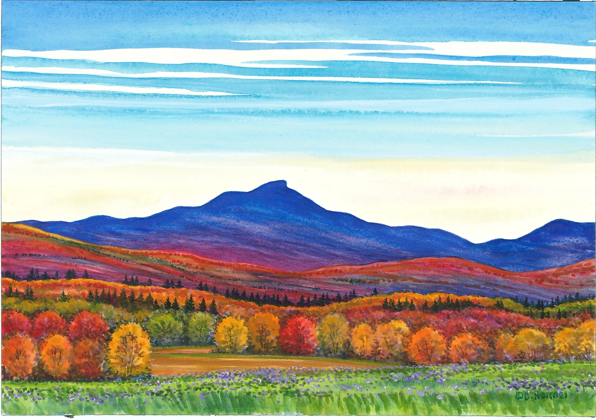 Camel's Hump Autumn — Deborah Holmes Art